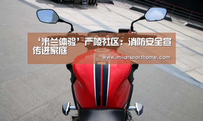 ‘米兰体验’严陵社区:消防安全宣传进家庭(图3) 米兰首页